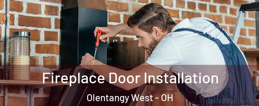 Fireplace Door Installation Olentangy West - OH