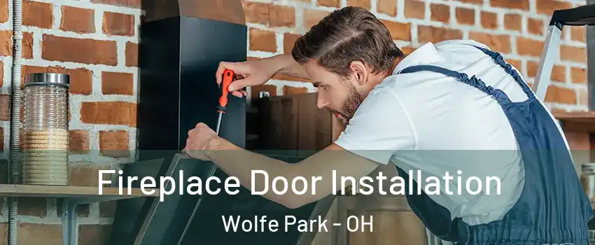 Fireplace Door Installation Wolfe Park - OH