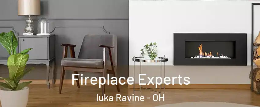 Fireplace Experts Iuka Ravine - OH
