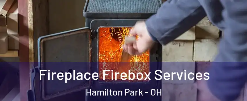 Fireplace Firebox Services Hamilton Park - OH