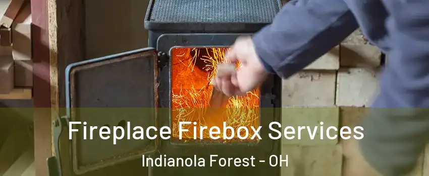 Fireplace Firebox Services Indianola Forest - OH