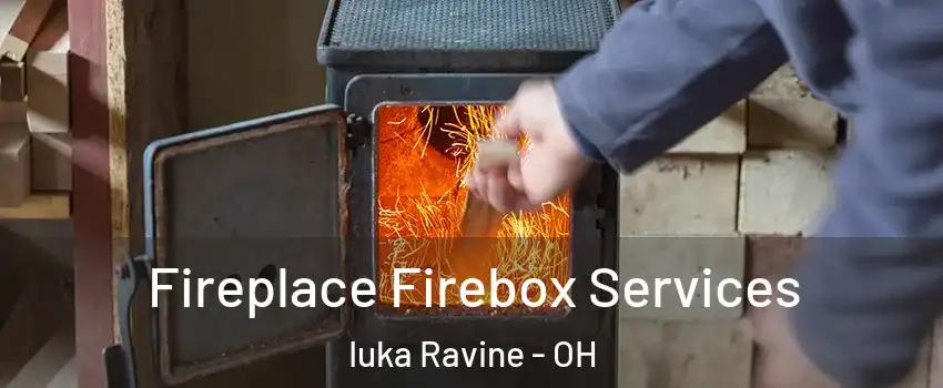 Fireplace Firebox Services Iuka Ravine - OH