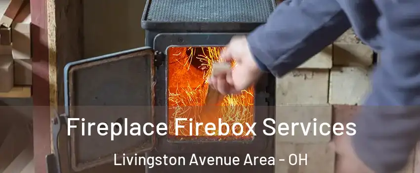 Fireplace Firebox Services Livingston Avenue Area - OH