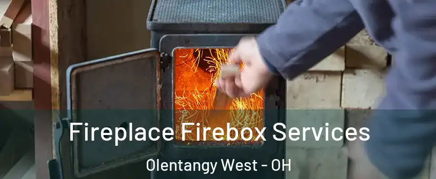 Fireplace Firebox Services Olentangy West - OH
