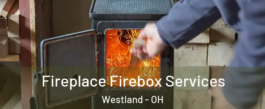 Fireplace Firebox Services Westland - OH