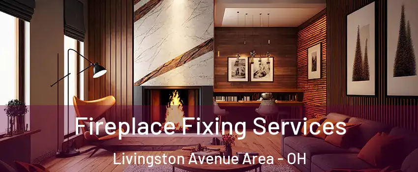 Fireplace Fixing Services Livingston Avenue Area - OH
