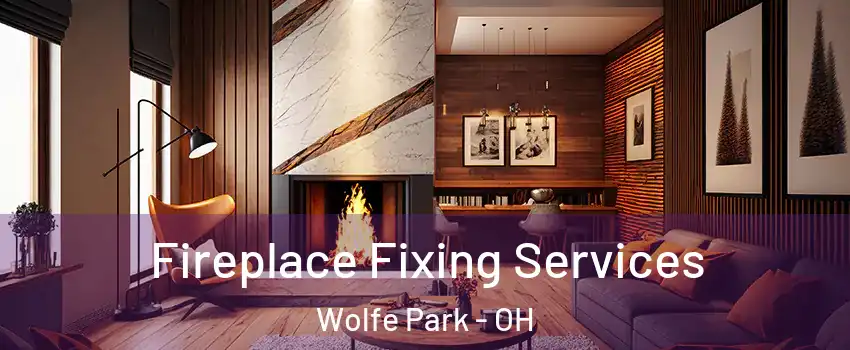 Fireplace Fixing Services Wolfe Park - OH