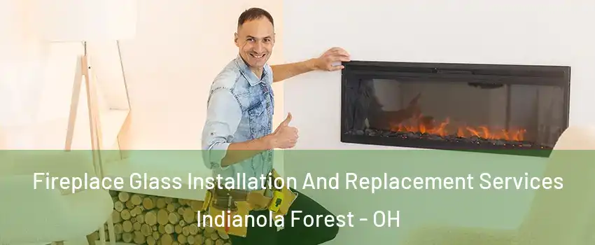 Fireplace Glass Installation And Replacement Services Indianola Forest - OH