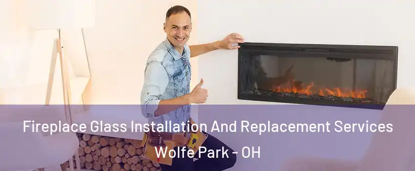Fireplace Glass Installation And Replacement Services Wolfe Park - OH