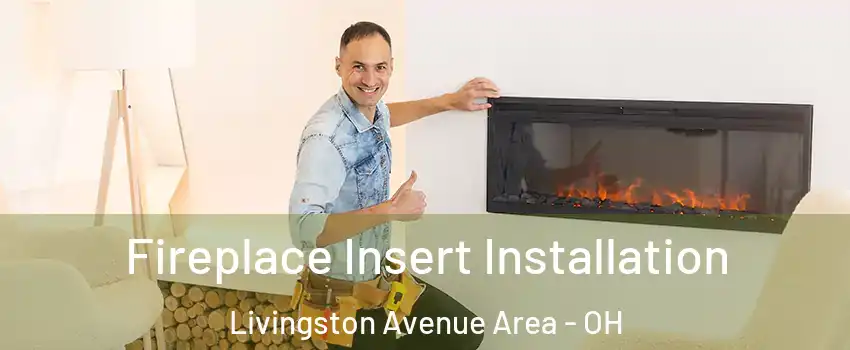 Fireplace Insert Installation Livingston Avenue Area - OH