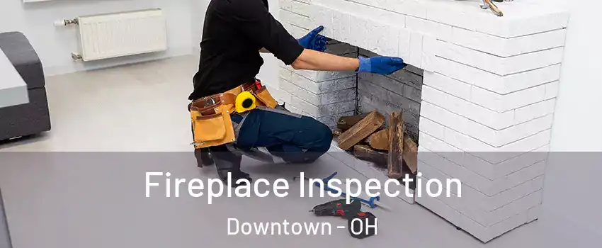 Fireplace Inspection Downtown - OH