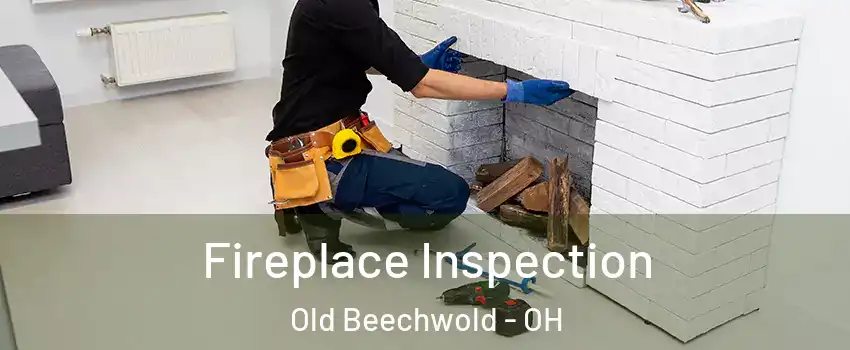 Fireplace Inspection Old Beechwold - OH
