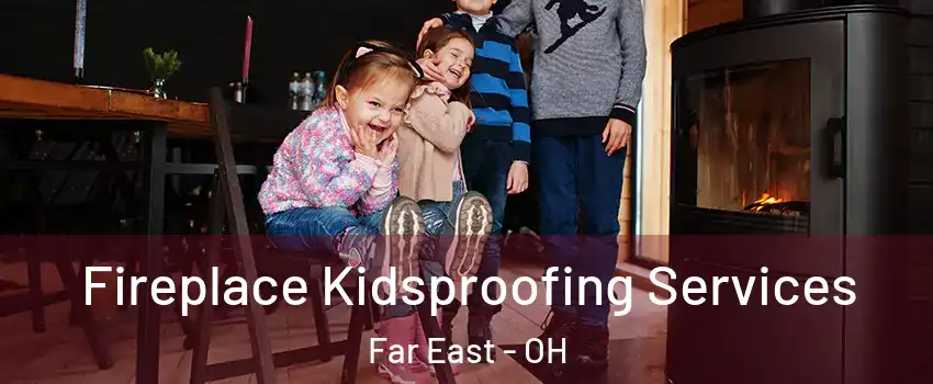 Fireplace Kidsproofing Services Far East - OH