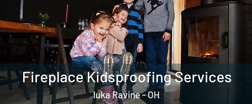 Fireplace Kidsproofing Services Iuka Ravine - OH