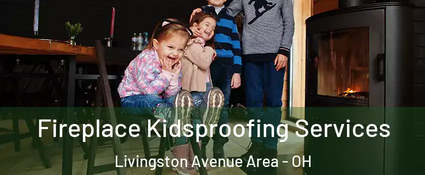 Fireplace Kidsproofing Services Livingston Avenue Area - OH