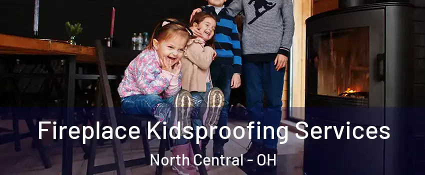 Fireplace Kidsproofing Services North Central - OH