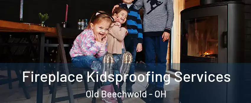 Fireplace Kidsproofing Services Old Beechwold - OH