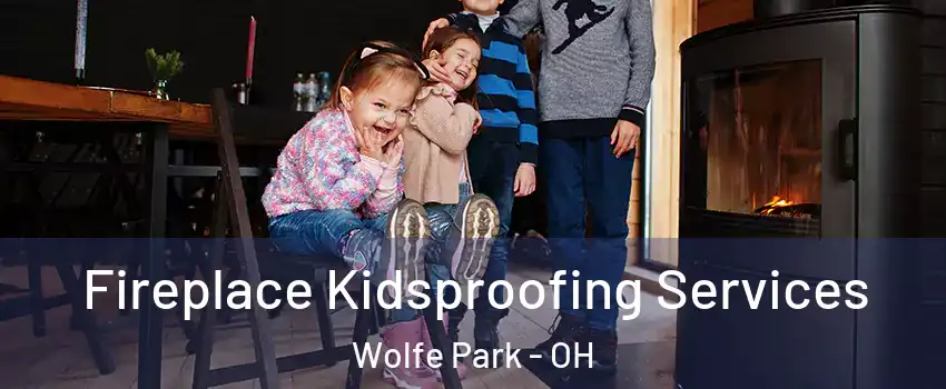 Fireplace Kidsproofing Services Wolfe Park - OH