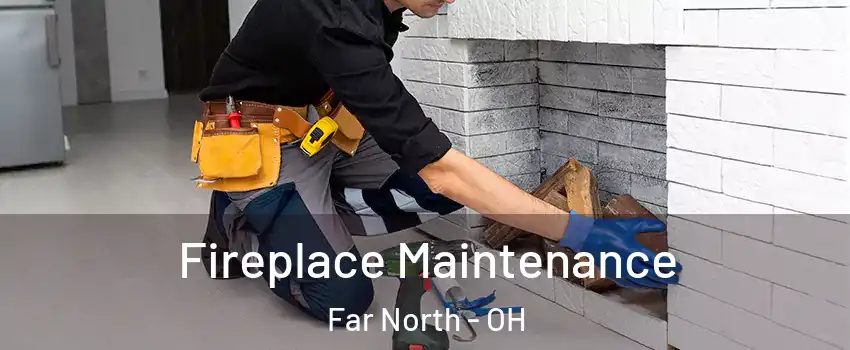 Fireplace Maintenance Far North - OH