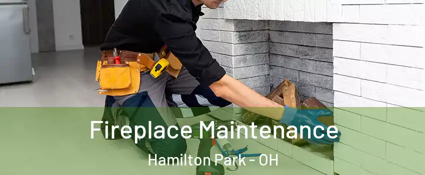 Fireplace Maintenance Hamilton Park - OH
