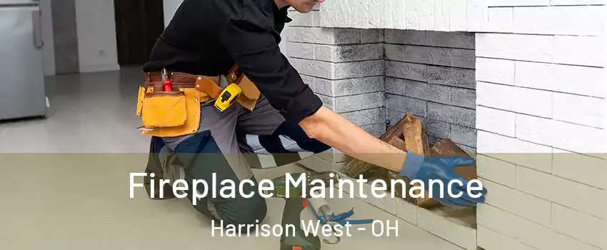 Fireplace Maintenance Harrison West - OH