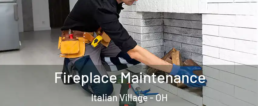Fireplace Maintenance Italian Village - OH