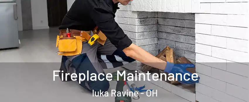 Fireplace Maintenance Iuka Ravine - OH