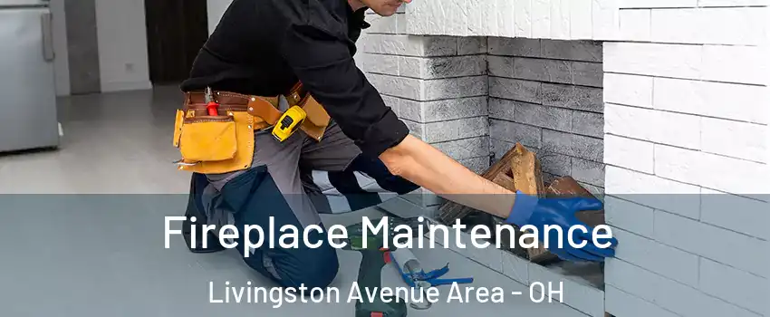 Fireplace Maintenance Livingston Avenue Area - OH