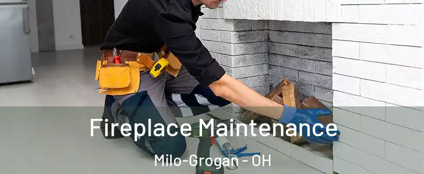 Fireplace Maintenance Milo-Grogan - OH