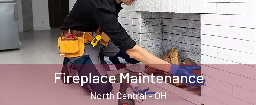 Fireplace Maintenance North Central - OH