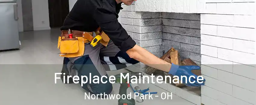 Fireplace Maintenance Northwood Park - OH