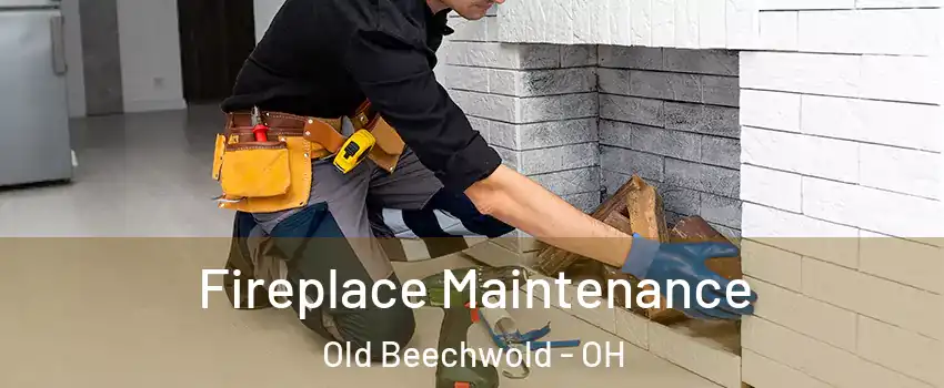 Fireplace Maintenance Old Beechwold - OH
