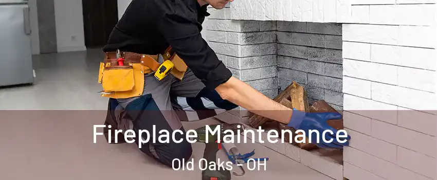 Fireplace Maintenance Old Oaks - OH