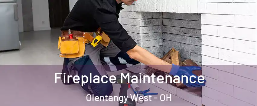 Fireplace Maintenance Olentangy West - OH