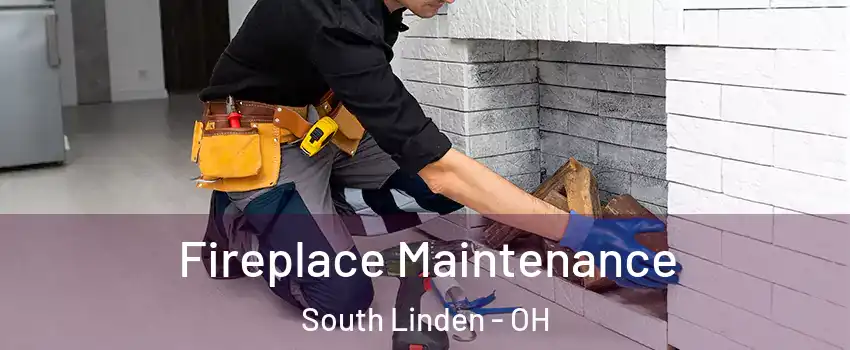 Fireplace Maintenance South Linden - OH