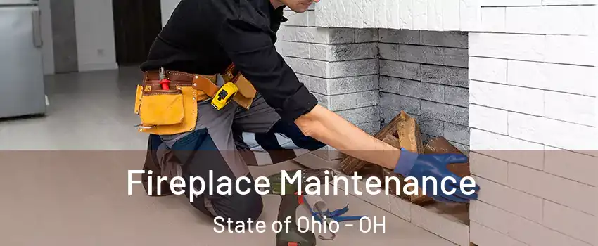 Fireplace Maintenance State of Ohio - OH