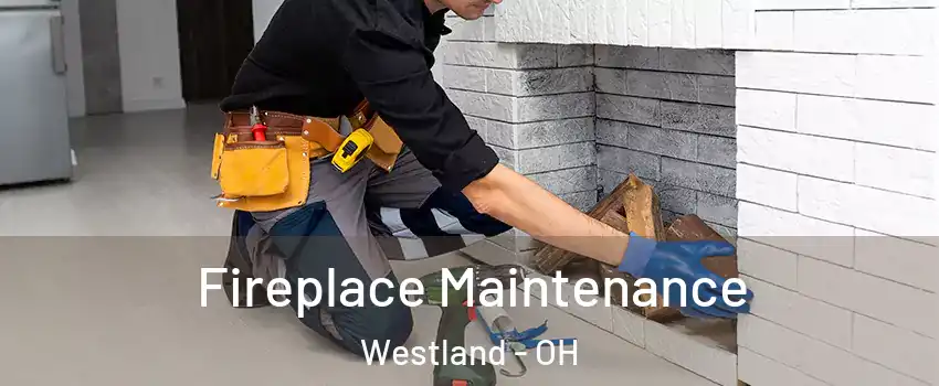 Fireplace Maintenance Westland - OH
