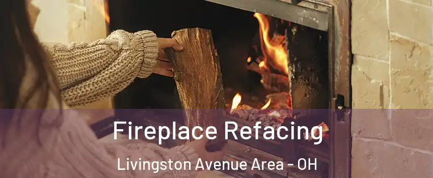 Fireplace Refacing Livingston Avenue Area - OH