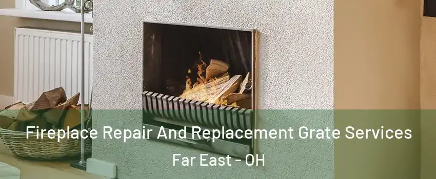 Fireplace Repair And Replacement Grate Services Far East - OH