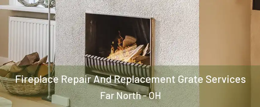 Fireplace Repair And Replacement Grate Services Far North - OH