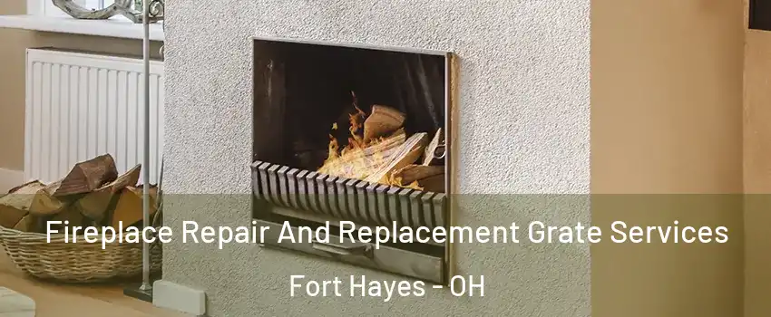 Fireplace Repair And Replacement Grate Services Fort Hayes - OH