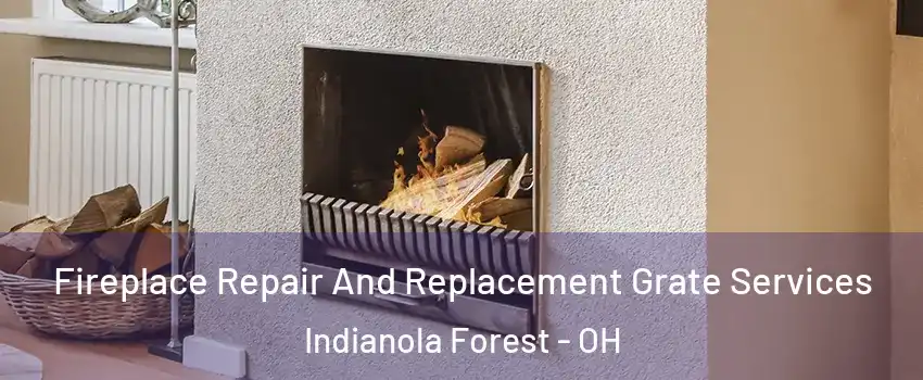 Fireplace Repair And Replacement Grate Services Indianola Forest - OH