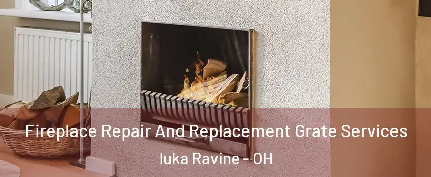 Fireplace Repair And Replacement Grate Services Iuka Ravine - OH