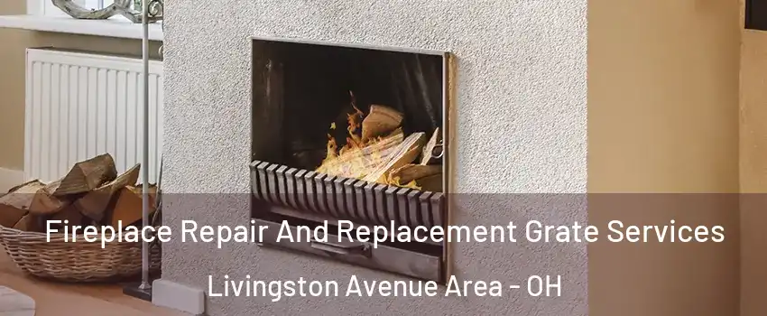 Fireplace Repair And Replacement Grate Services Livingston Avenue Area - OH