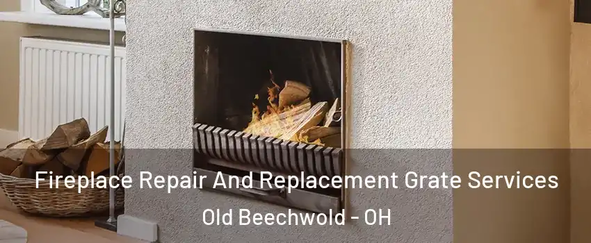 Fireplace Repair And Replacement Grate Services Old Beechwold - OH