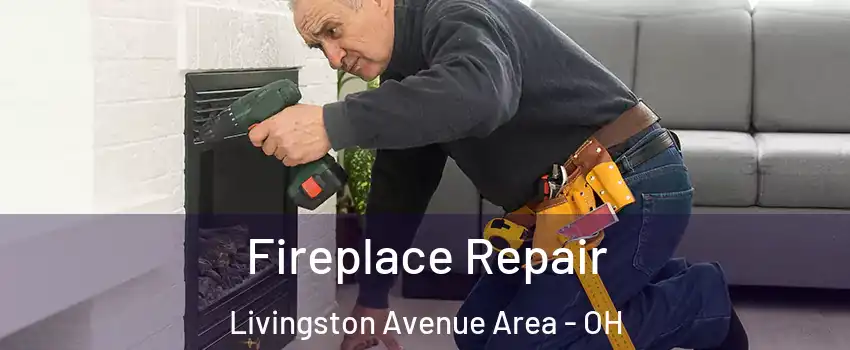 Fireplace Repair Livingston Avenue Area - OH