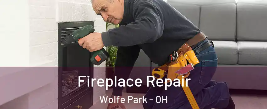 Fireplace Repair Wolfe Park - OH