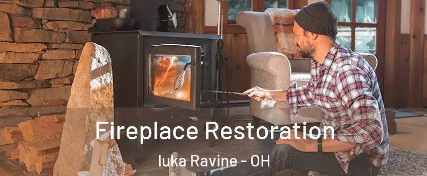 Fireplace Restoration Iuka Ravine - OH