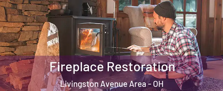 Fireplace Restoration Livingston Avenue Area - OH