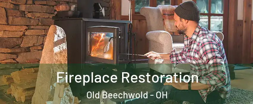 Fireplace Restoration Old Beechwold - OH